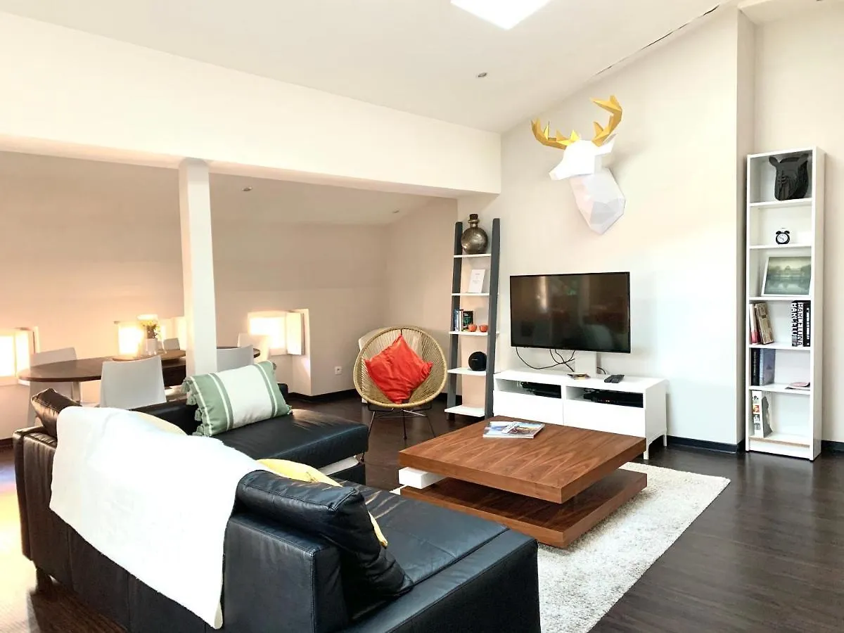 Duplex design en hypercentre Apartamento Toulouse Francia